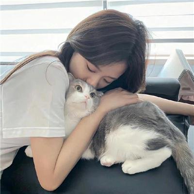 心智游戏